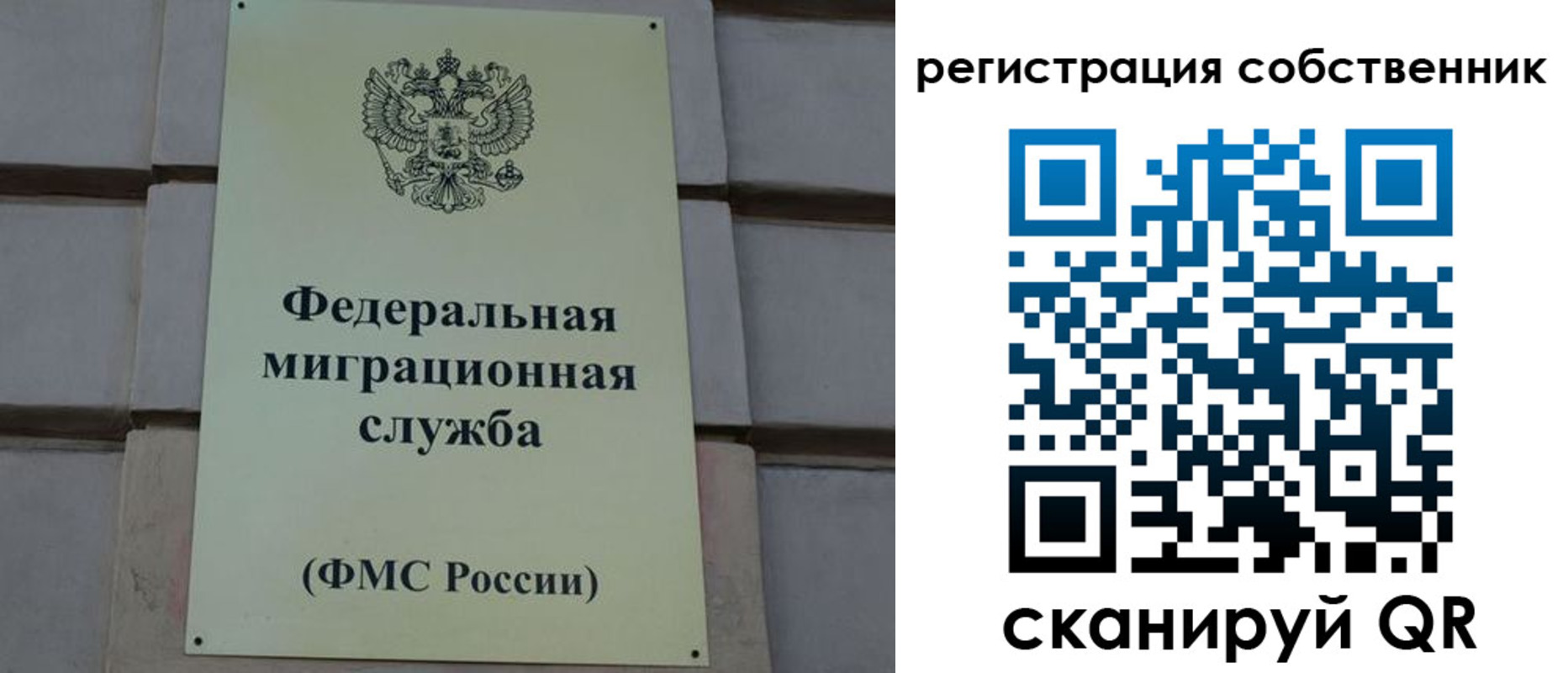 прописка гарантия в Кургане